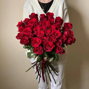 Bouquet de 35 roses Explorer