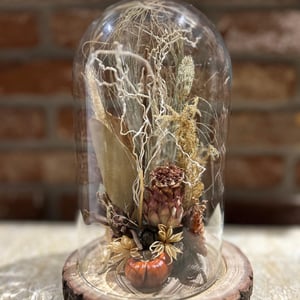 Natürliche Trockenblumen Nr. 2