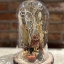 Natural Dried Flowers No. 2