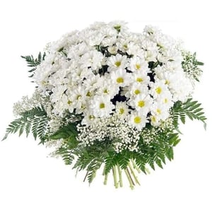 Ramo 'Margaritas blancas y Paniculata'