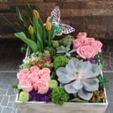 Flower box 'Succulent garden'