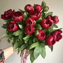 Bouquet of 15 burgundy peonies