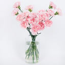 Rhapsody of Affectio