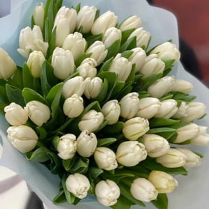 Blumenstrauß '51 Zarte weiße Tulpe'