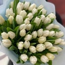 Bouquet '51 delicate white tulip'