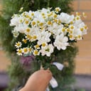 Bouquet 'Solar glare'