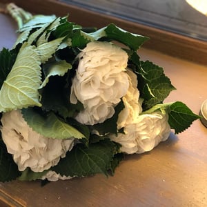 Blumenstrauß 'Three white hydrangeas'