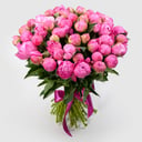 Bouquet of 51 peonies "Pink Prism"