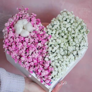 Heart with gypsophila