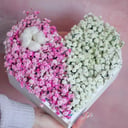Heart with gypsophila