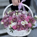 Flower basket 'Monterin'