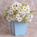 Flower box 'Idyll: Chamomiles and white Chrysanthemums'
