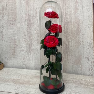 Red rose in a flask