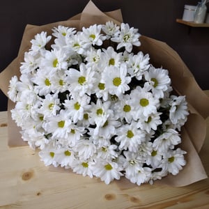 Bouquet '15 chrysanthemums'