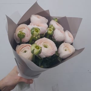 Bouquet '9 pale pink ranunculus'