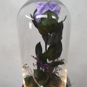 For a beautiful lady