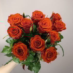 Bouquet '11 bright red roses with a ribbon'