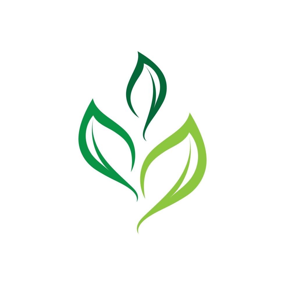 Naturaleza Floral