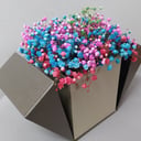 Flower box 'Victoria'