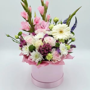 Airy Summer