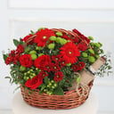 Flower basket 'Fluffy congratulations'