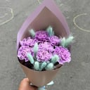 Dianthus with dried flowers