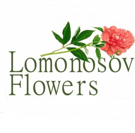 Lomonosov Flowers Moskva