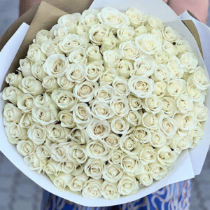 101 white roses bouquet