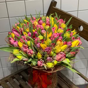 Bouquet of tulips