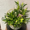 Flower basket 'Green gnome'