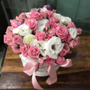 Arrangement 'Dance with me'