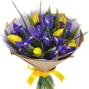 Bouquet of iris and tulips