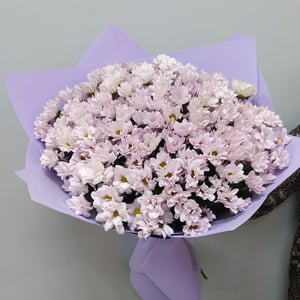 Blumenstrauß 'Purple fog'