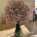 Blumenstrauß 'Strauß aus rosa Gypsophila'