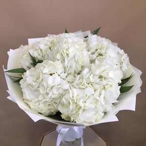 Bouquet of white hydrangeas