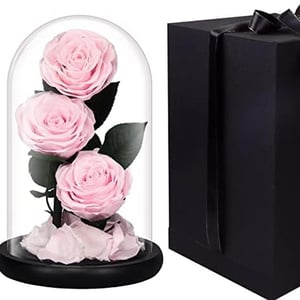 Arrangement 'Glass Dome Vase With Three Rose Pink'