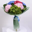 Bouquet of 7 hydrangeas