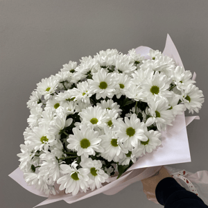 Bouquet 'camomile field'