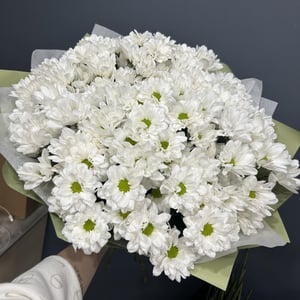 Bouquet 'Chamomile'