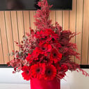 New Year's Red Composition